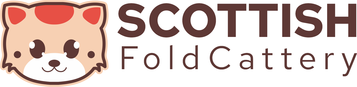Scottish Fold Kitten Cattery